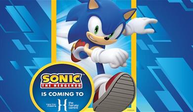 Meet Sonic the Hedgehog™