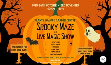 Spooky Maze