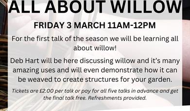 Spring Talk 2023: All About Willow
