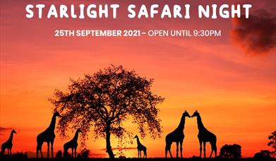 Starlight Safari Night - 25th September 2021, open until 9.30pm
