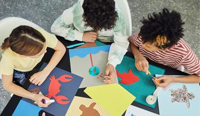 JMT Summer Workshops