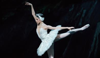 Swan Lake
