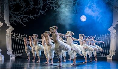 Matthew Bourne's Swan Lake
