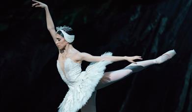 Swan Lake