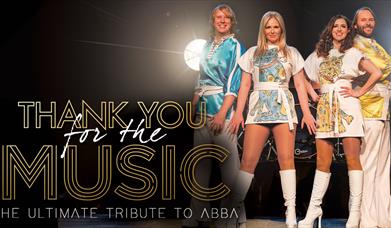 Thank You For The Music