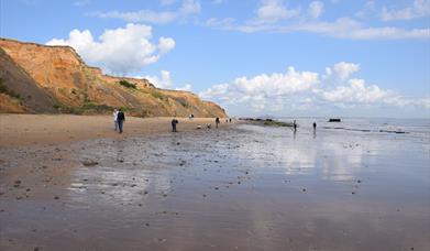 Secret History of The Naze Guided Walk