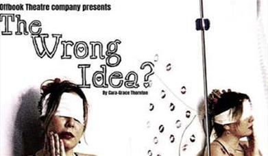The Wrong Idea?