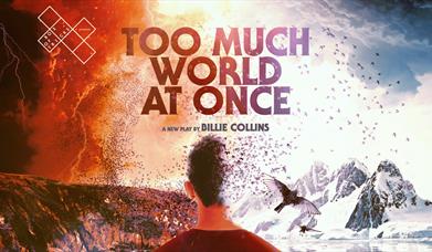 Too Much World At Once
