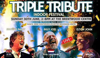 BILLY JOEL, ELTON JOHN & SPANDAU BALLET TRIBUTE SHOW