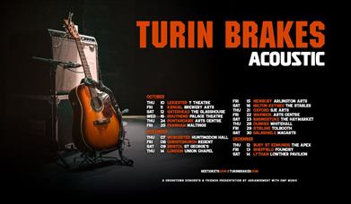 Turin Brakes