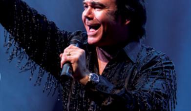 Sweet Caroline - The Ultimate Tribute to Neil Diamond