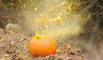 Hallowe'en Pumpkin Shooting