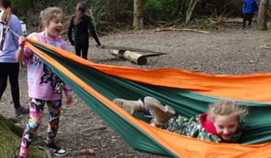 Family Forest Fun