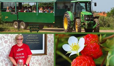 Public Farm Tours at The Tiptree Tea Room