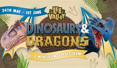 Dinosaurs & Dragons