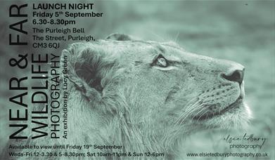 Near & Far: An Exhibition of Wildlife Photography