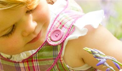 Hanningfield Nature Tots Summer Special