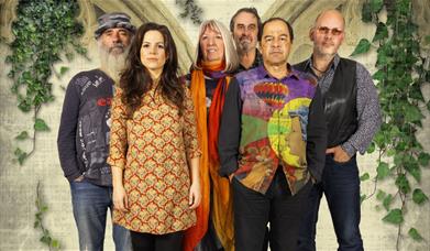 Steeleye Span