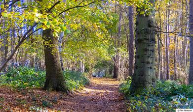 Weald Country Park