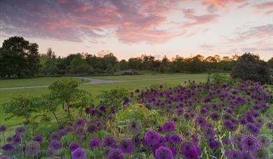 Clover Hill at RHS Garden Hyde Hall.