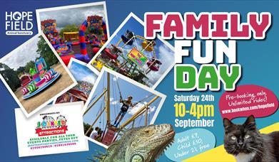 Family Fun Day
