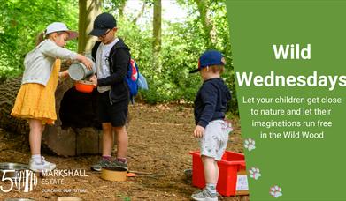 Poster showing children playing in the woods