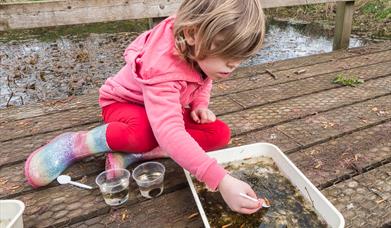 Summer Holidays Children's Activities