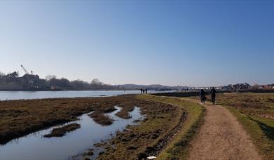 Wivenhoe trail