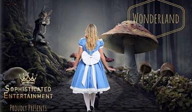 Wonderland