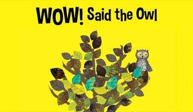 Wow Said The Owl