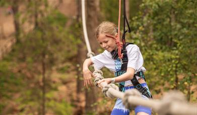 May half term at Go Ape Chelmsford