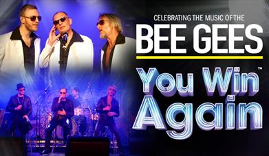 You Win Again: The Story of the Bee Gees