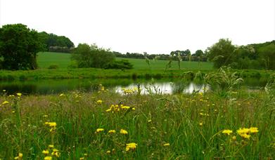 cherry orchard jubilee country park