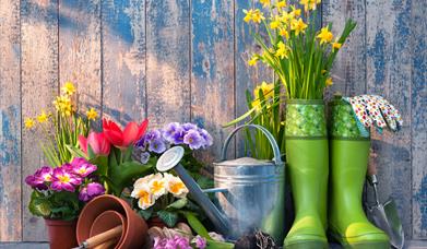 Spring image with flowers in pots, water can and welly boots