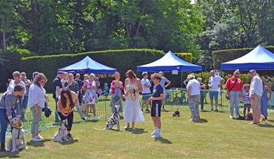 October Open Day and Dog Show