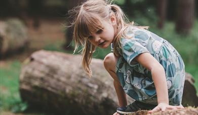 Nature Explorer Family Trail