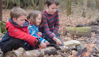 Survival Day - Children's Activities