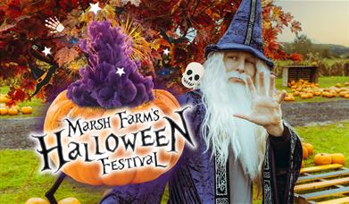 Marsh Farm Halloween Festival