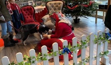 Mrs Claus is...Santa Paws