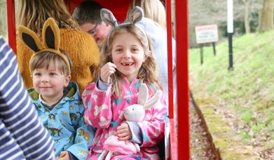 Easter at Audley End Miniature railway