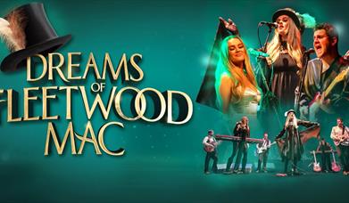 Dreams of Fleetwood Mac