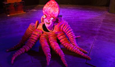 A human wearing an octopus costume