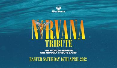 Nirvana Tribute