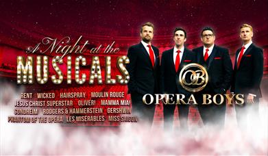 Opera Boys: A Night At the Musicals