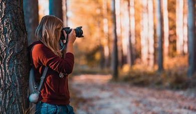 Photography at Marks Hall Estate