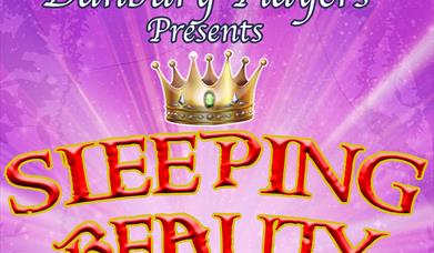 Sleeping Beauty Pantomime