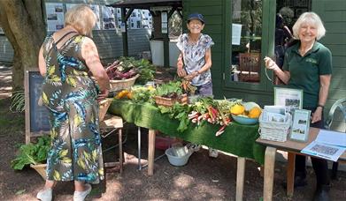 Open Thursdays at Gardens of Easton Lodge