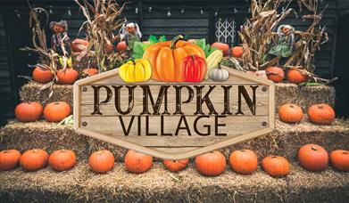 Pumpkin Picking Village