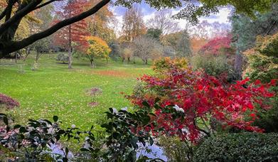 National Garden Scheme