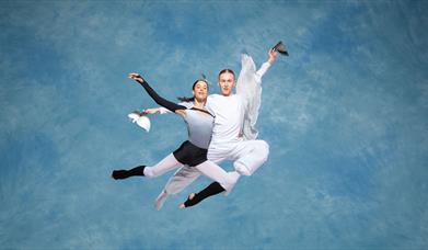 Skydiver